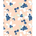 The blueberry hang out