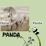 Pandytopandy