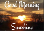 Sunshine paradise!