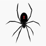 Widow’s Web