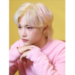 twice . stray kids