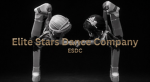 Elite Stars Dance Company (ESDC)*