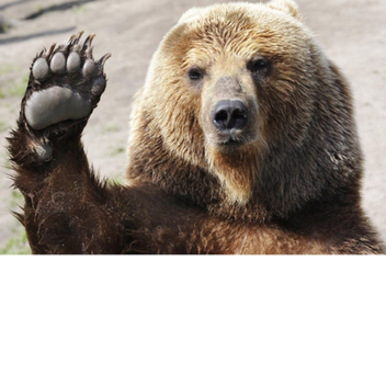  Project CamGonne 21° N, 31