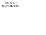 Camp Half-Blood at Half-Blood Hill