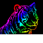 CZSK-Tigers