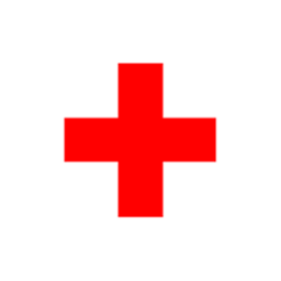 The Hostpital
