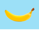 The True Banana’s