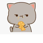 CookieFun