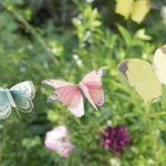 ~ baby fairies ~