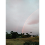 Real Rainbows