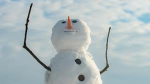 Snowman Realm