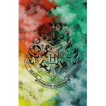 ~Harry potter club :)~