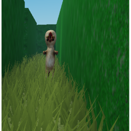 The Peanut Maze V0.2