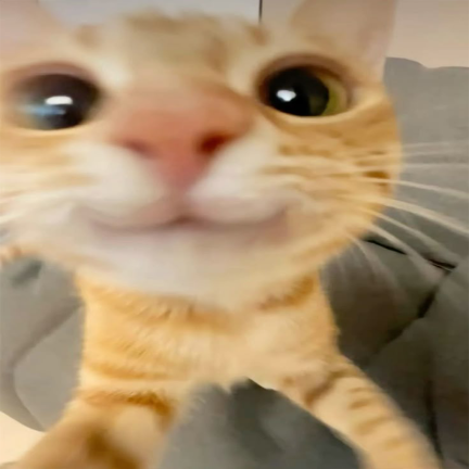 Project Superstellar (Akumatization Part 1.5) screenshot 1