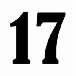 17+ game test