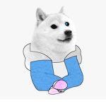 “Doge’s United”