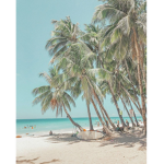- Aloha Aesthetic