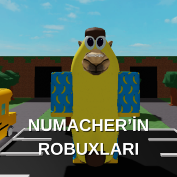 NUMACHERİN ROBUXLARI