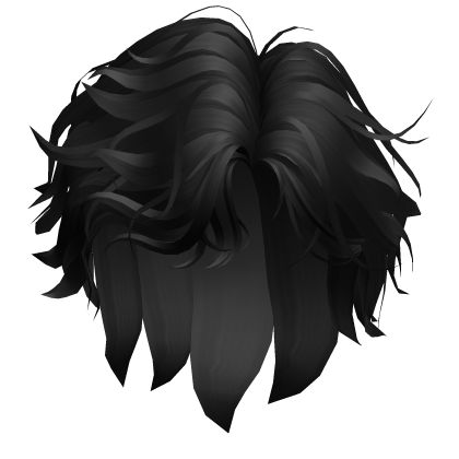 Black Wavy Boy Hair Roblox item