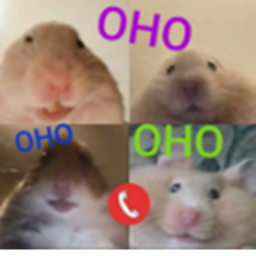 Oho Gang.eu prvních 40 členů