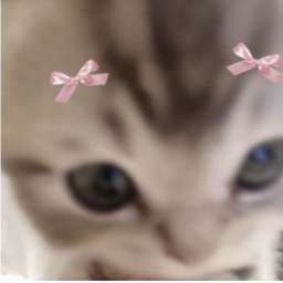 𝙮𝙤𝙪