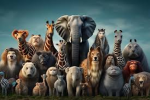We Care and Love Animals