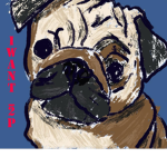 Pug doggy squad
