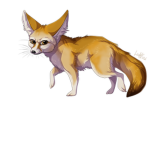 🦊Fennec~Fox Productions🦊