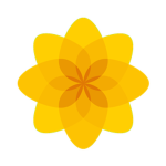Plaid Cymru || Party Of Wales