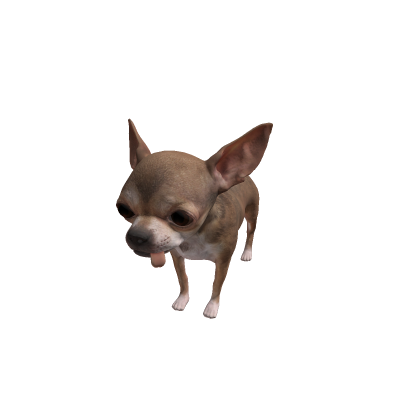 Auto-setup character model