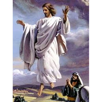 Favorite if you love Jesus and The ✝!