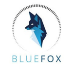 The Blue Fox