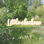 Little-chickens