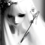 قروب x x x