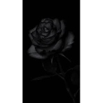 Emo fan group!