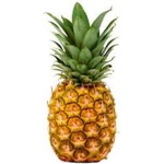gloriagotbc