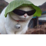 Ra ks EditFan