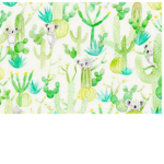 koalaz & cactuz
