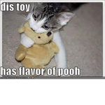 this group is for cat and bunny and dogs lovers