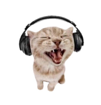 headphones: in