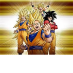 Z fighters fan club