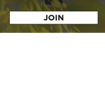 Join my guy
