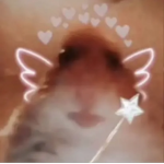 Lɪʟʏ’s Cʟᴏᴛʜɪɴɢ sᴛᴏʀᴇ!