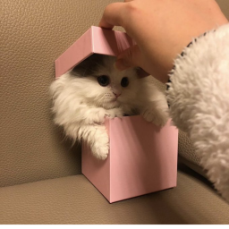 ♡