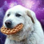 The Waffle Doges
