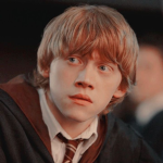 Harry Potter fans ;)