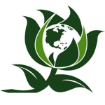 Green Party of the USA