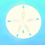 Sand Dollar Cafe