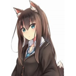 foxy bears