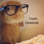 7realm